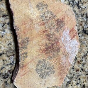 Dendritic Limestone Slab